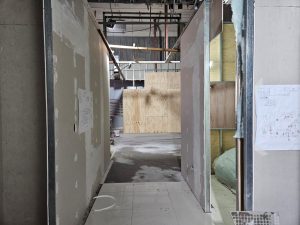 Proyecto de salud — INSIEME (foto 37 de 41)